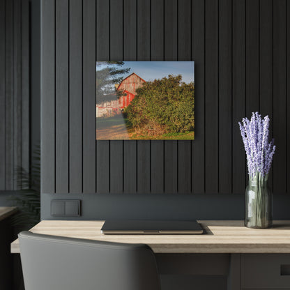U R There Photography Cade Road Red II Rustic Farmhouse Acrylic Wall Print