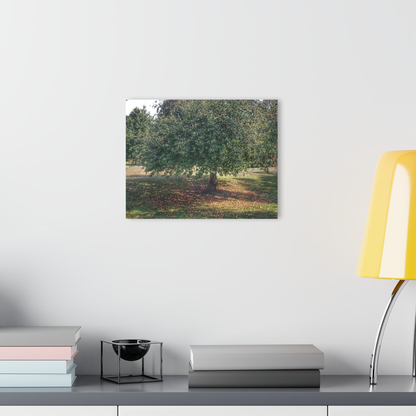 Barn Boutique Modern Farmhouse Acrylic Wall Print| Apple Tree and Apples