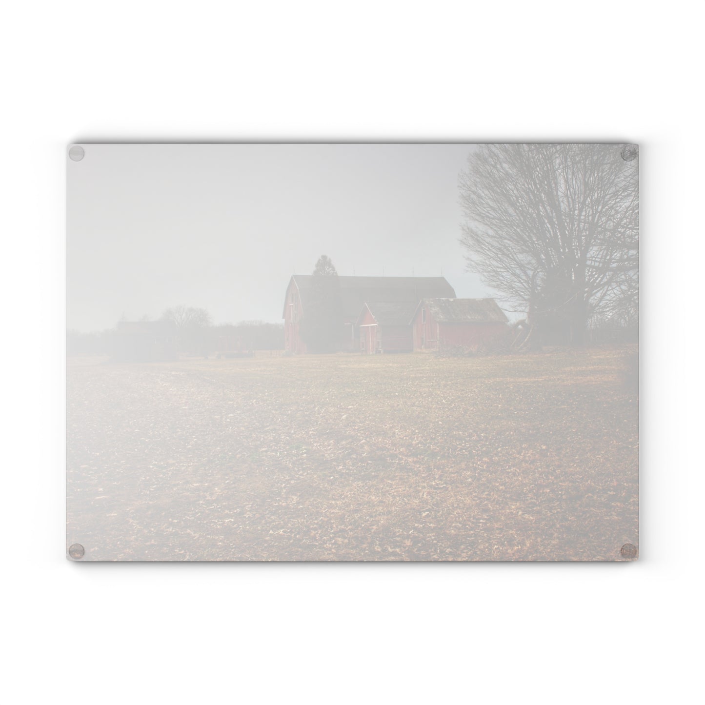U R There Photography Wilder Road Reds in Spring Rustic Farmhouse Tempered-Glass Cutting Board