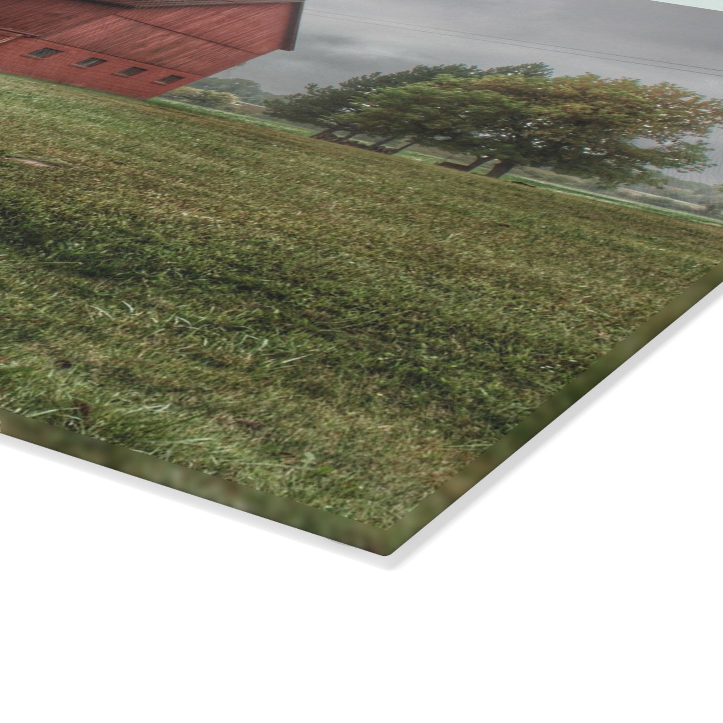 U R There Photography Birch Road Red Rustic Farmhouse Tempered-Glass Cutting Board