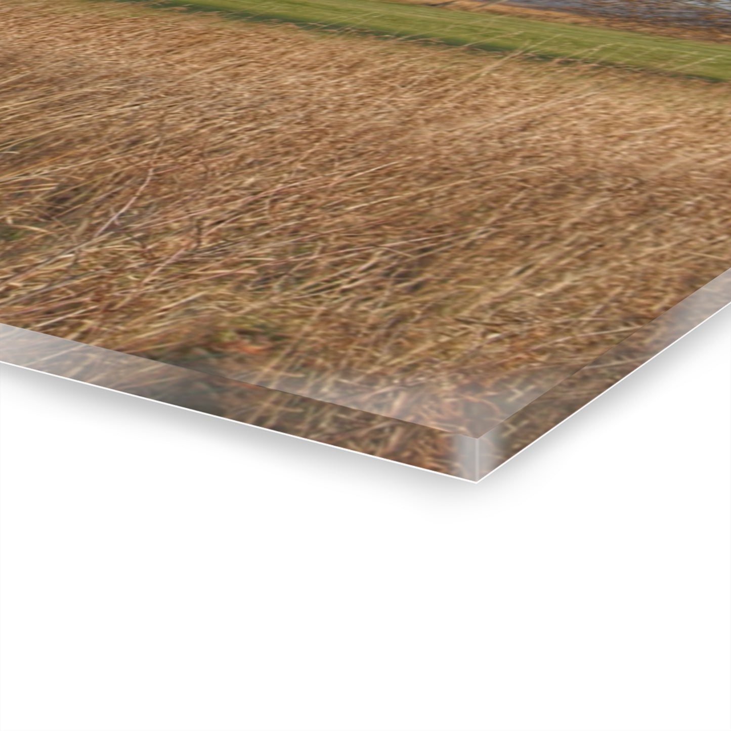 U R There Photography Harrington Road Red and Silo Rustic Farmhouse Acrylic Wall Print