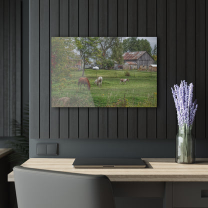 U R There Photography Front Yard Ponies Rustic Farmhouse Acrylic Wall Print