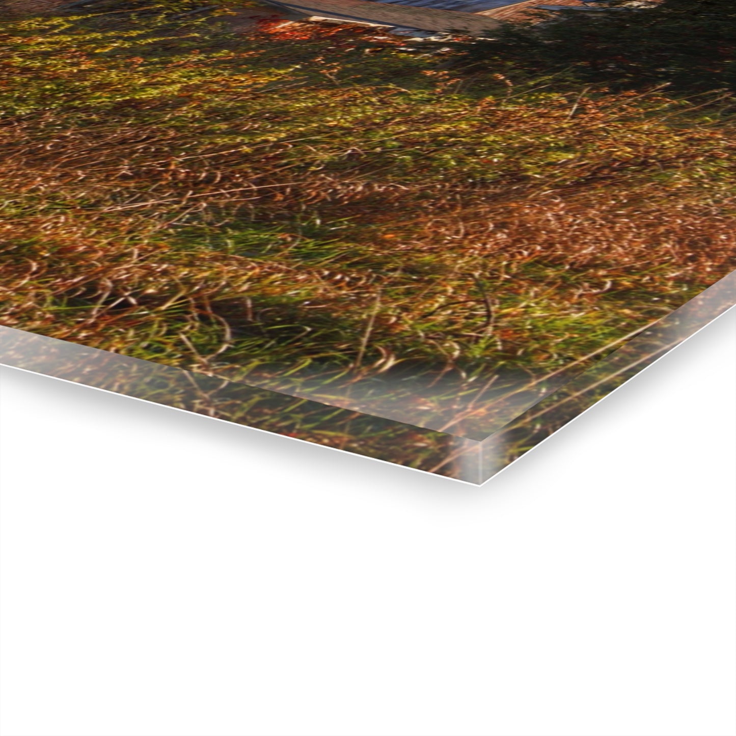 U R There Photography Montgomery Road Reds Rustic Farmhouse Acrylic Wall Print