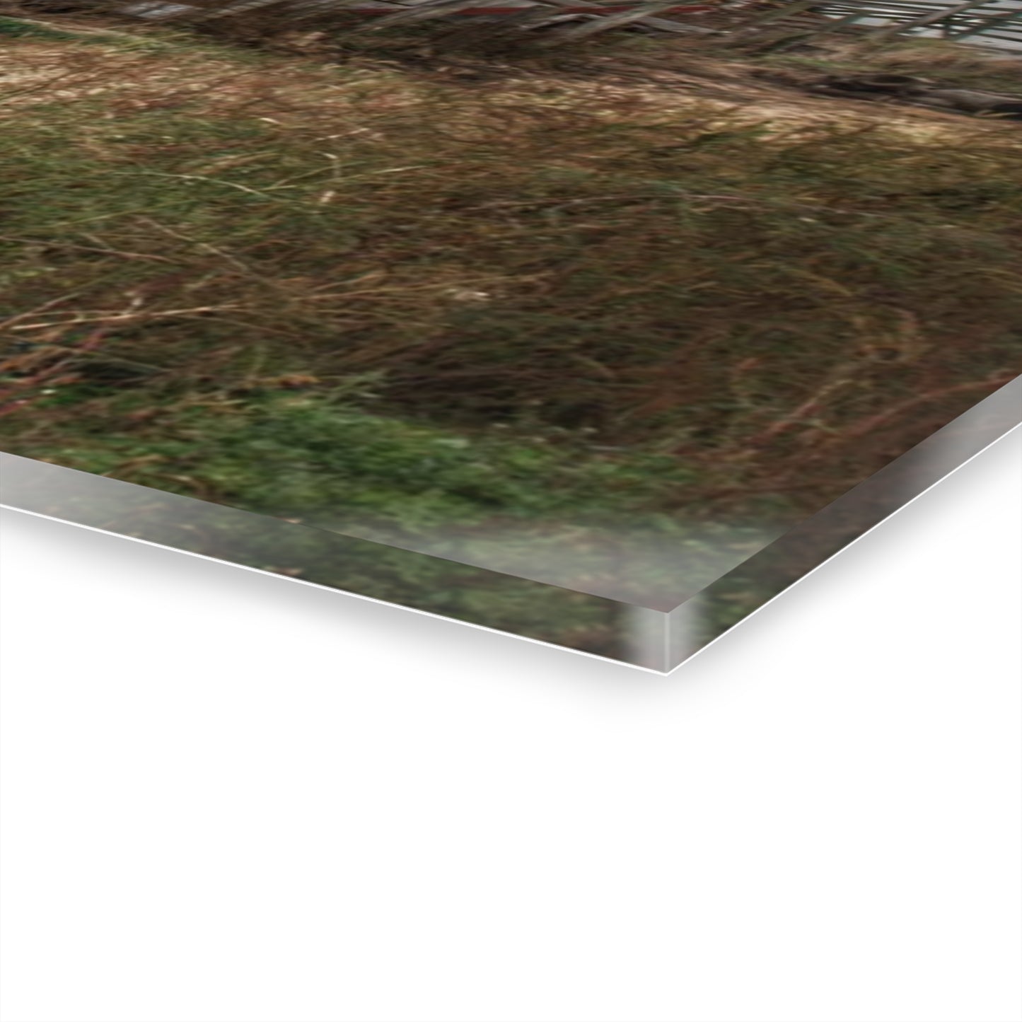 U R There Photography Hurds Corner Red II Rustic Farmhouse Acrylic Wall Print