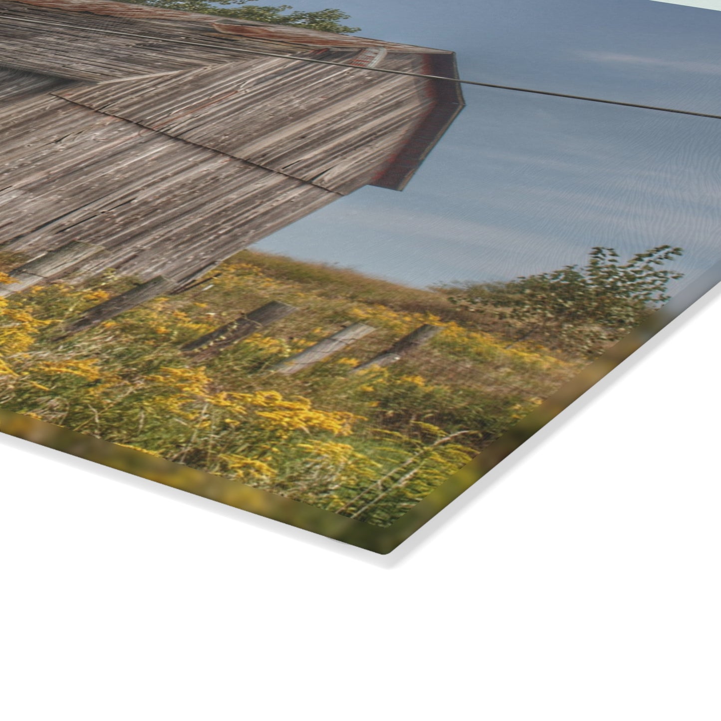 U R There Photography Schott Road Grey I Rustic Farmhouse Tempered-Glass Cutting Board