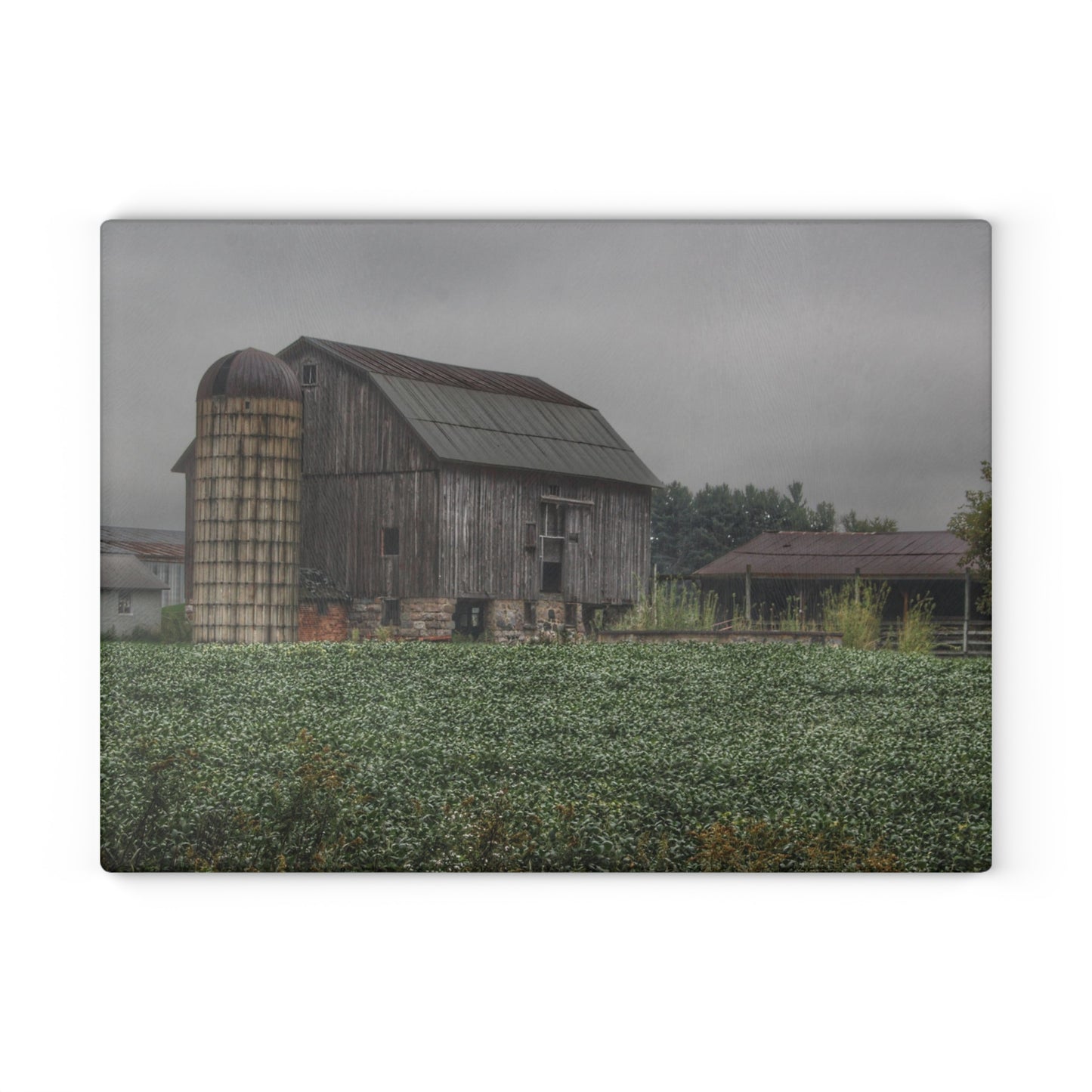 U R There Photography East Millington Road Grey and Stable Rustic Farmhouse Tempered-Glass Cutting Board