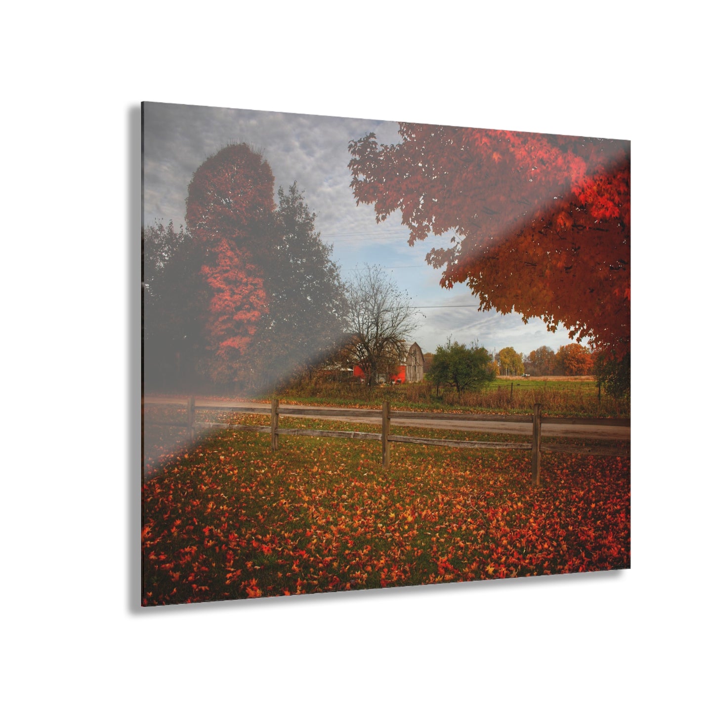 U R There Photography East Frances Road Hidden Grey II Rustic Farmhouse Acrylic Wall Print