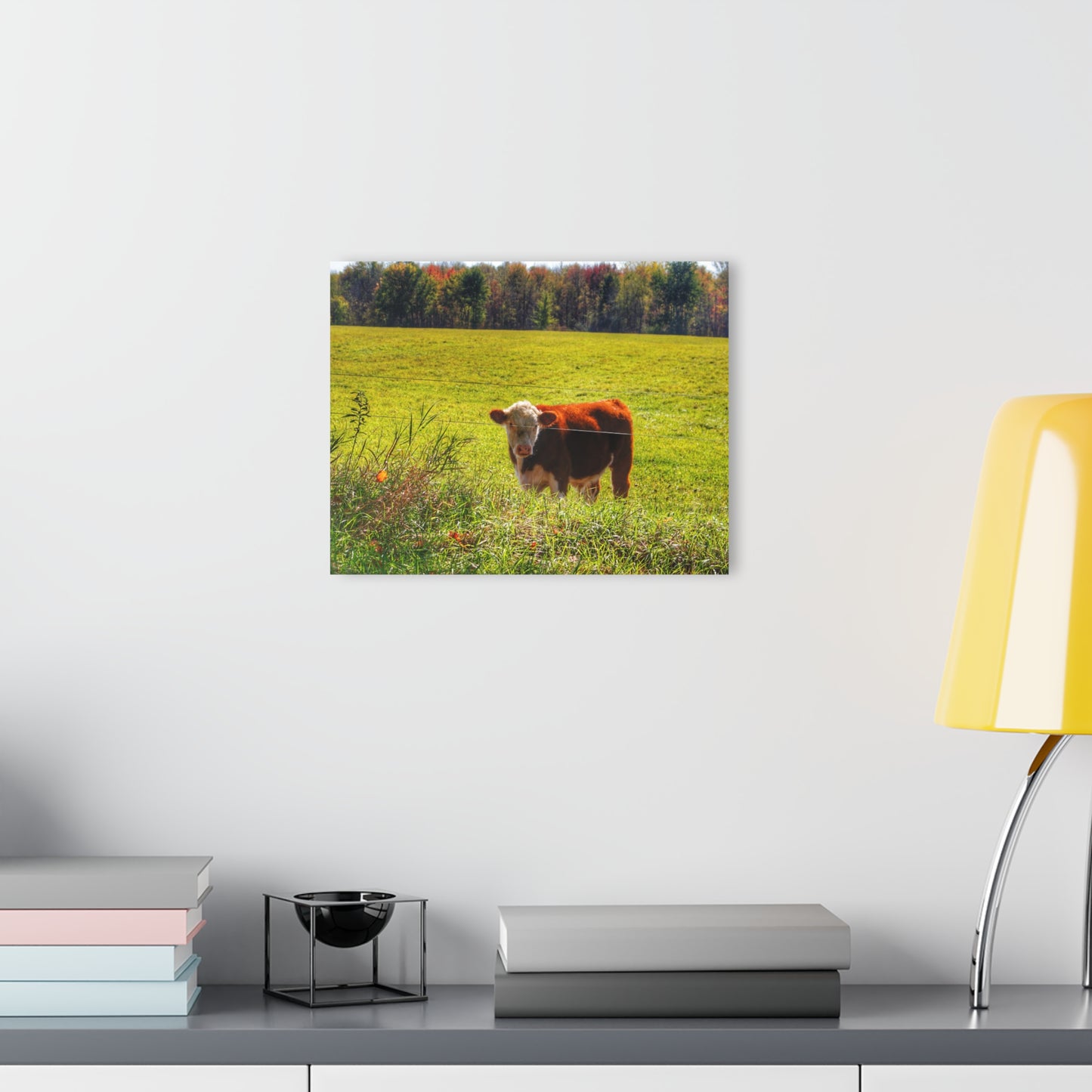 Barn Boutique Modern Farmhouse Acrylic Wall Print| Curry Road Cow