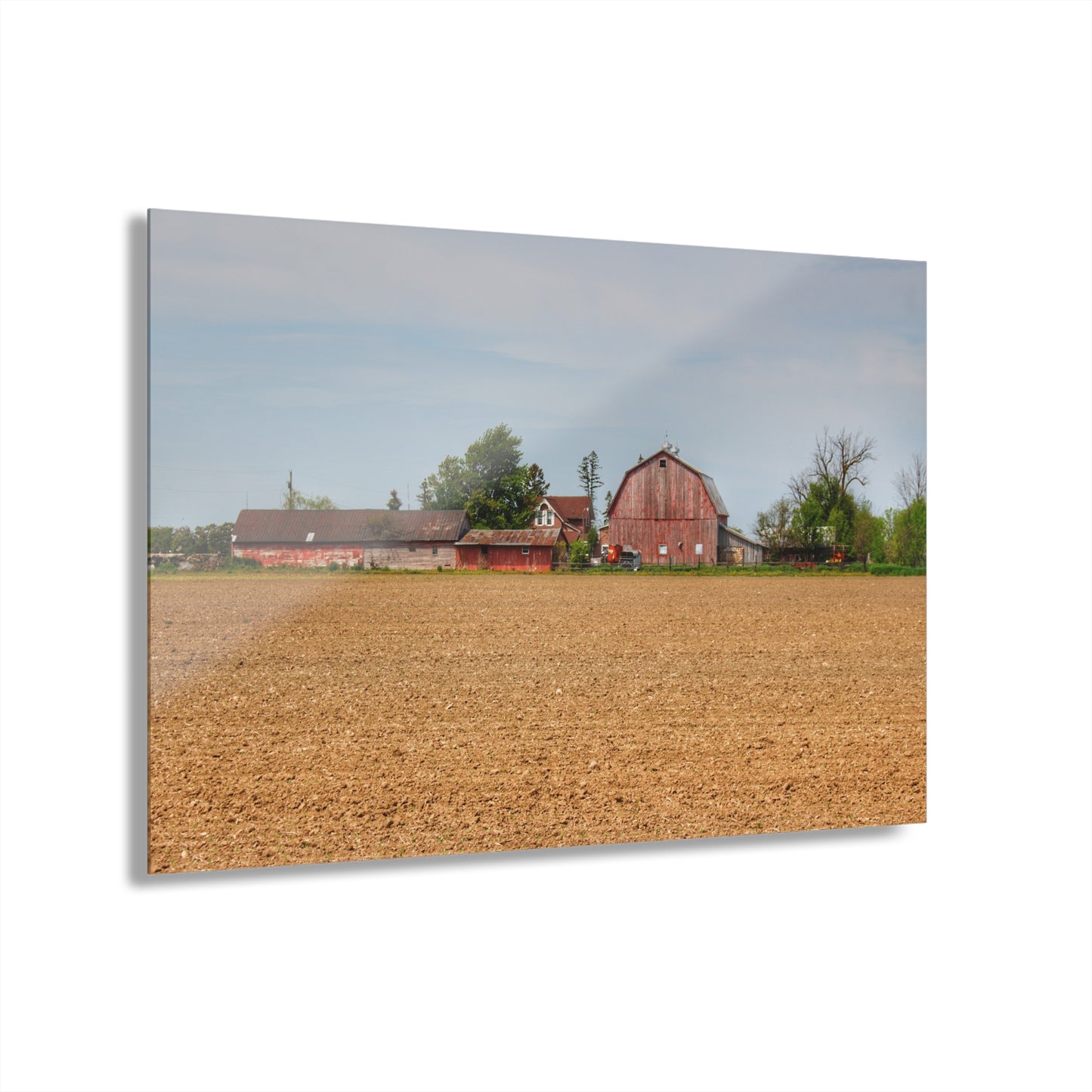 U R There Photography Volz Road Reds Rustic Farmhouse Acrylic Wall Print
