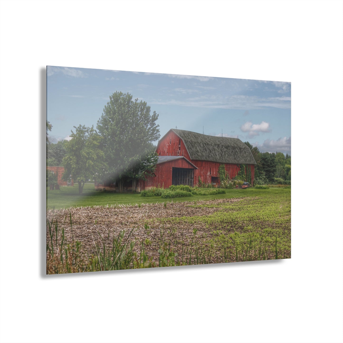 U R There Photography Murphy Lake Road Reds Rustic Farmhouse Acrylic Wall Print