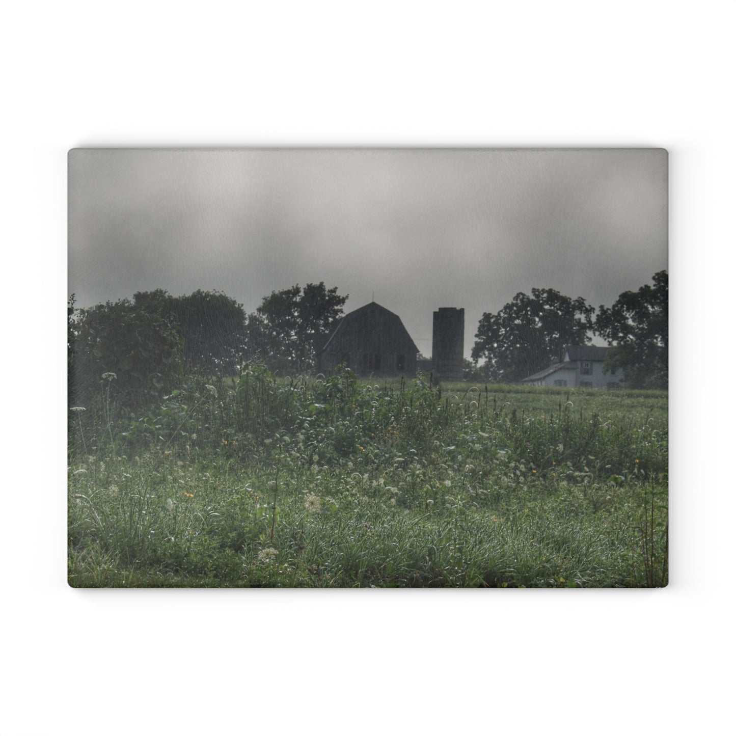 U R There Photography Hill Road Grey in the Fog Rustic Farmhouse Tempered-Glass Cutting Board