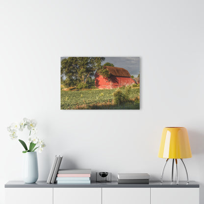 U R There Photography Genesee Road Red II Rustic Farmhouse Acrylic Wall Print