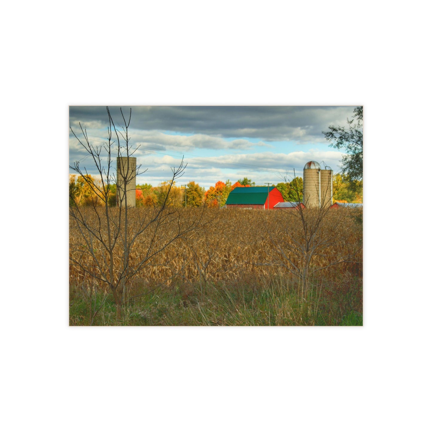 U R There Photography Beyond the Harvest Corn II Rustic Farmhouse Decorative Ceramic Tile