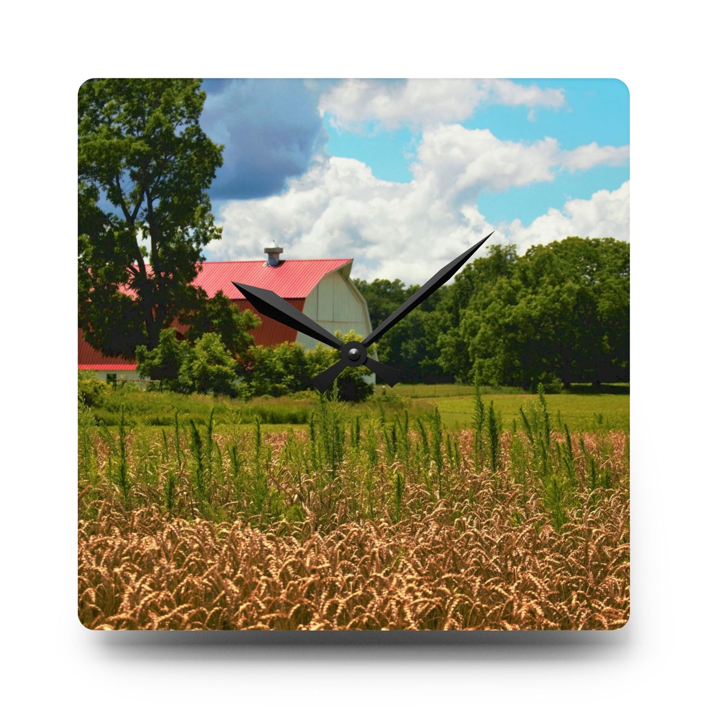 U R There Photography Northern White Rustic Farmhouse Acrylic Analog Wall Clock