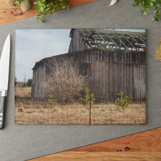 U R There Photography Leix Road Forgotten Grey II Rustic Farmhouse Tempered-Glass Cutting Board
