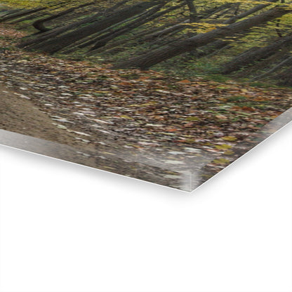 U R There Photography Country Roads in Dryden IV Rustic Farmhouse Acrylic Wall Print