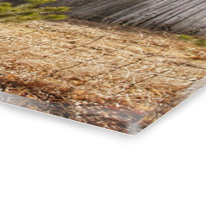 U R There Photography Leix Road Forgotten Grey II Rustic Farmhouse Acrylic Wall Print