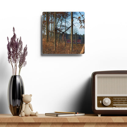U R There Photography Blood Road Red II Rustic Farmhouse Acrylic Analog Wall Clock