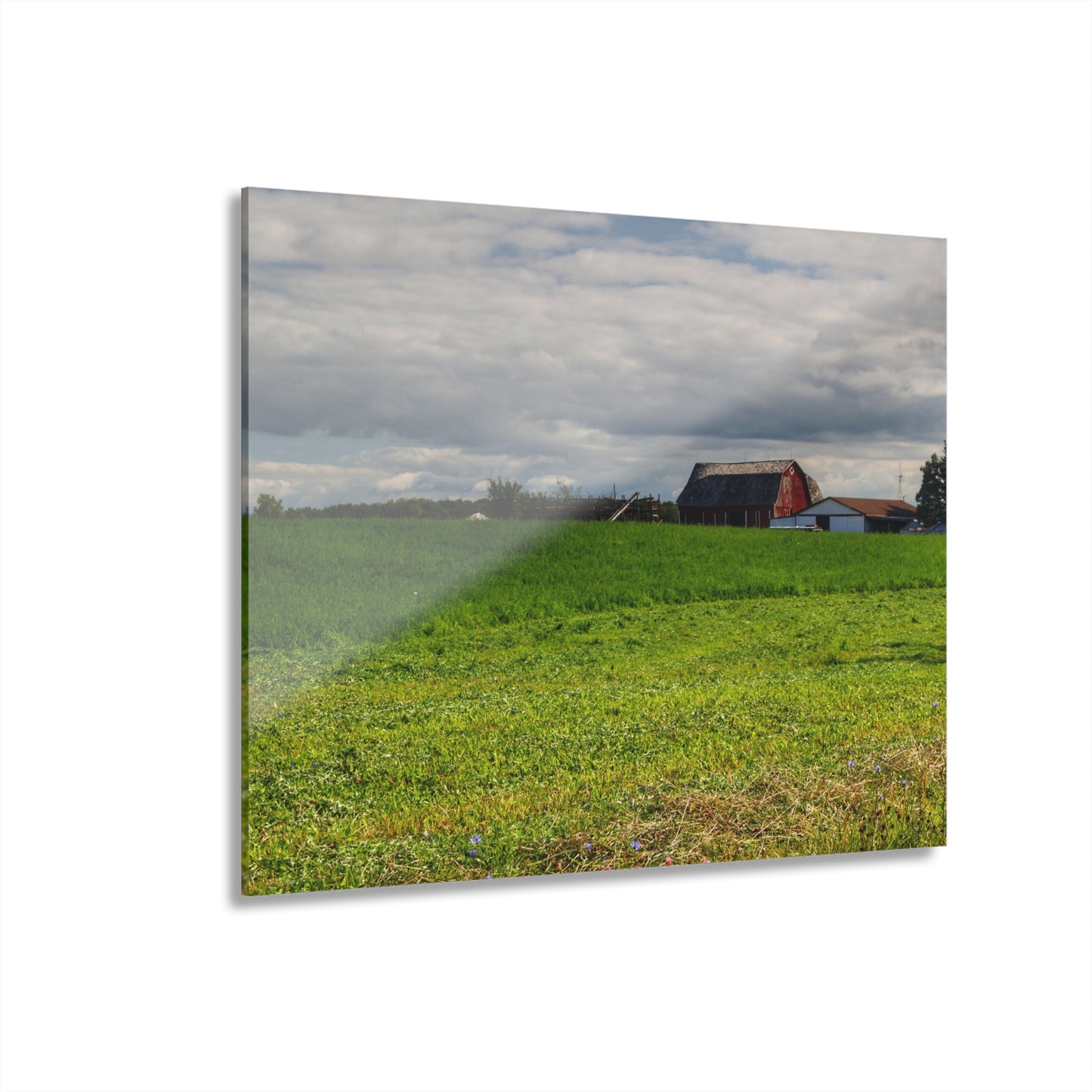 U R There Photography Across the Field in Kingston Rustic Farmhouse Acrylic Wall Print