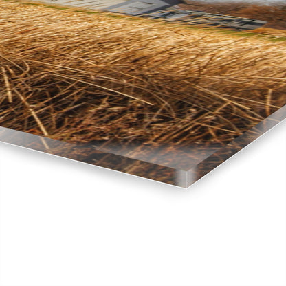 U R There Photography North Center Road Grey Rustic Farmhouse Acrylic Wall Print