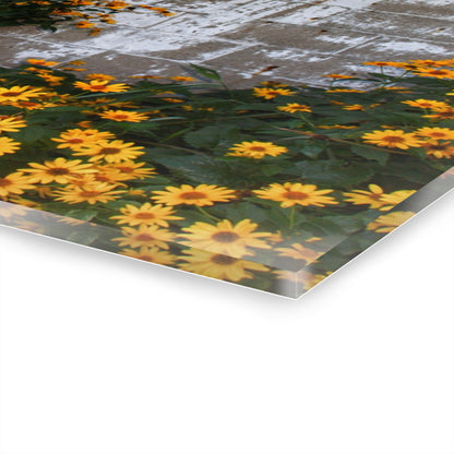 U R There Photography Golden Blooms on McDowell Rustic Farmhouse Acrylic Wall Print