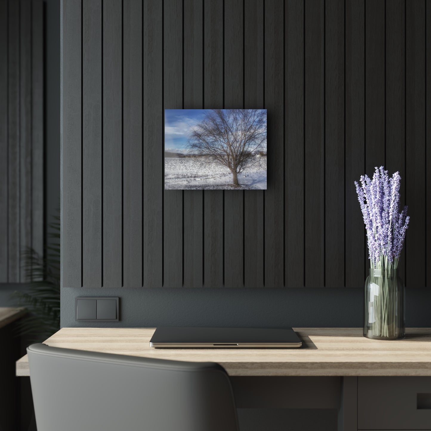 U R There Photography Winter Farm Willow Tree Rustic Farmhouse Acrylic Wall Print