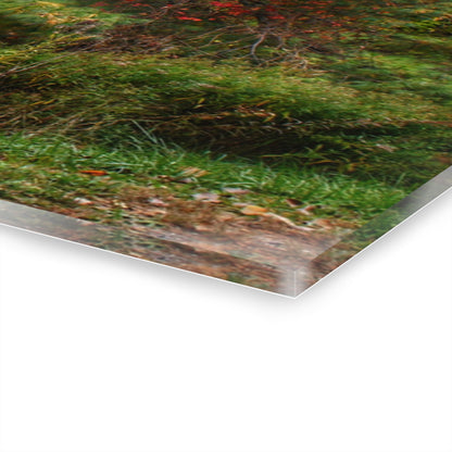 U R There Photography Green Corners Road Hidden Red Rustic Farmhouse Acrylic Wall Print