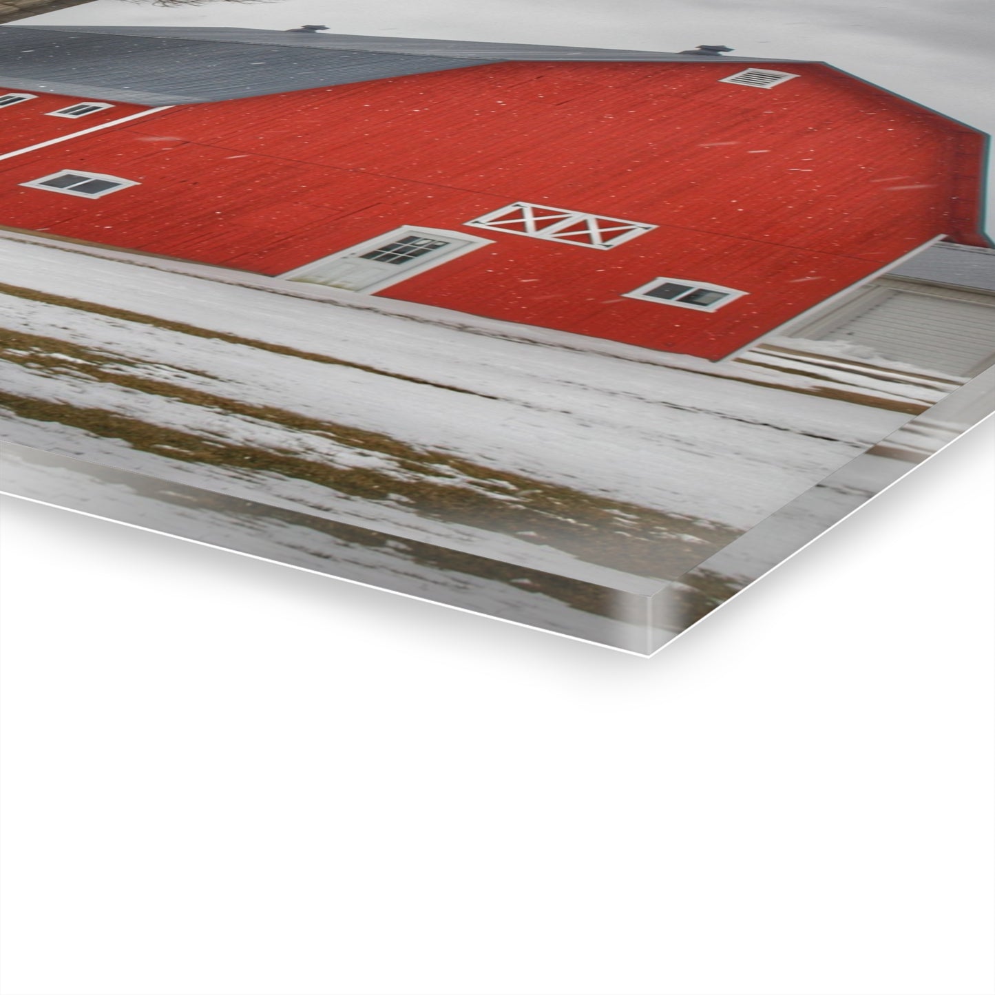 U R There Photography Hollow Corners Red Tree Silo I Rustic Farmhouse Acrylic Wall Print