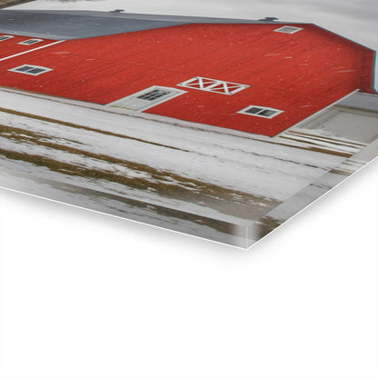 U R There Photography Hollow Corners Red Tree Silo I Rustic Farmhouse Acrylic Wall Print