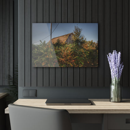 U R There Photography Hidden on Bearanger Road Rustic Farmhouse Acrylic Wall Print