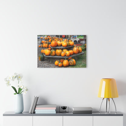 U R There Photography Tabletop Pumpkins Rustic Farmhouse Acrylic Wall Print