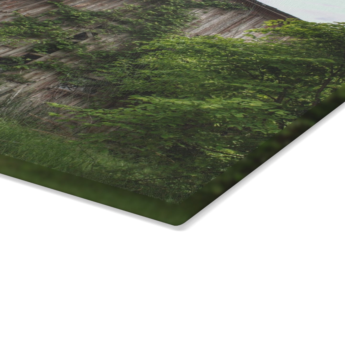 U R There Photography Imlay Hidden Rustic Farmhouse Tempered-Glass Cutting Board