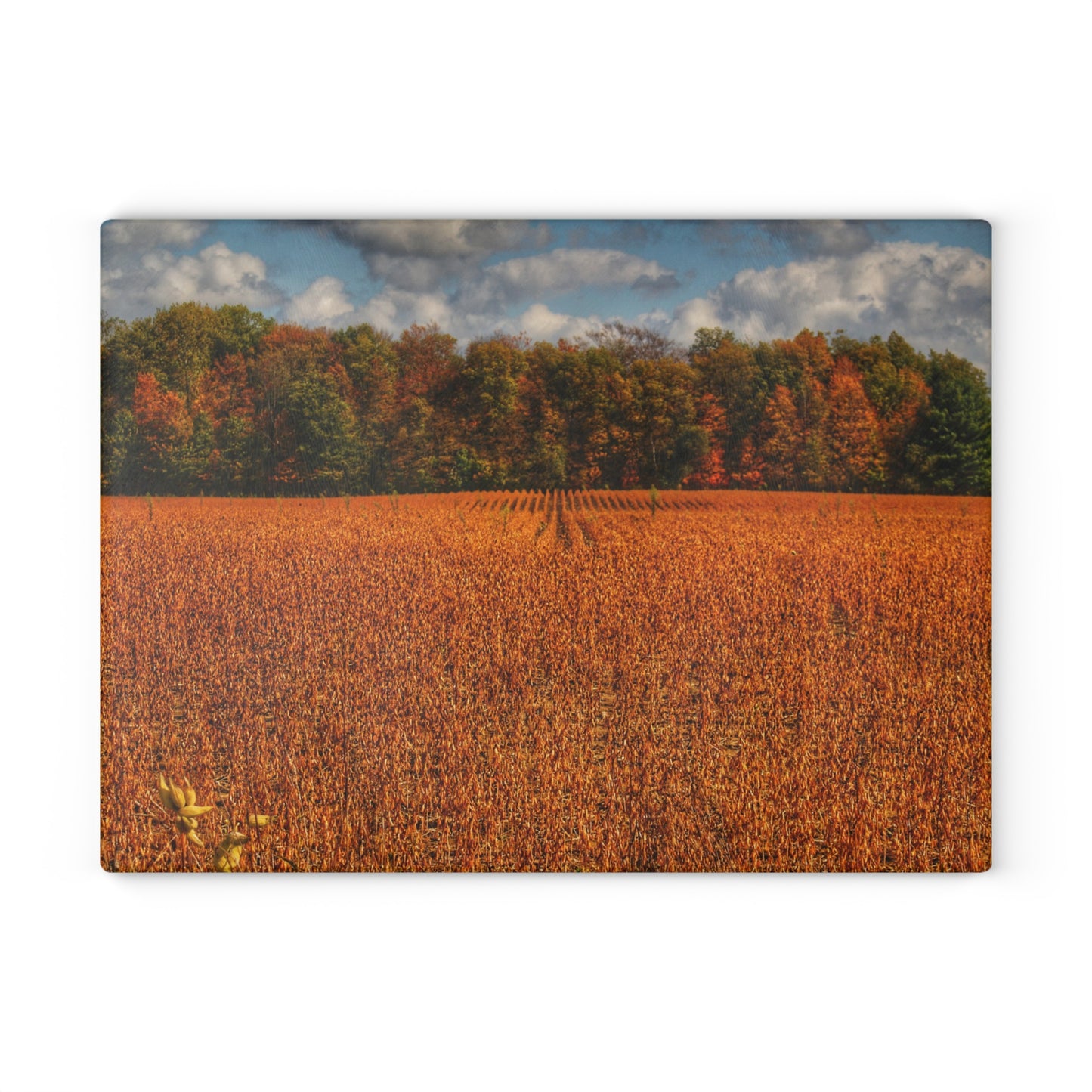 U R There Photography Fall on Murphy Lake I Rustic Farmhouse Tempered-Glass Cutting Board