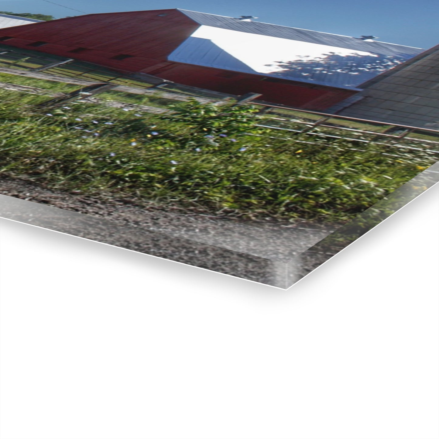 U R There Photography Mount Morris Road Farm and Horse Rustic Farmhouse Acrylic Wall Print