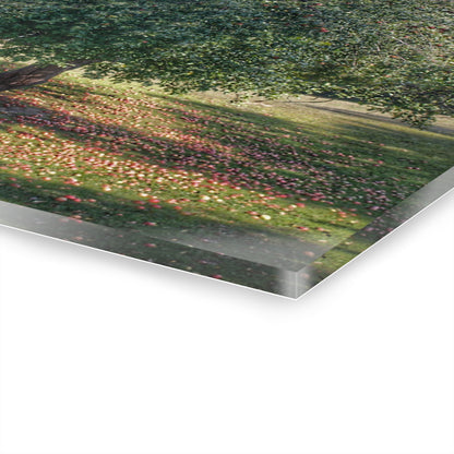 U R There Photography Frankenmuth Apple Tree Rustic Farmhouse Acrylic Wall Print