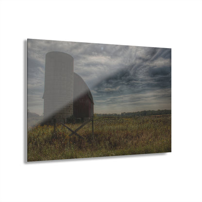 U R There Photography Mushroom Road Red I Rustic Farmhouse Acrylic Wall Print