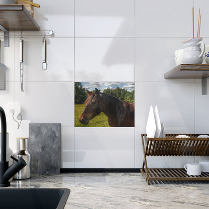 U R There Photography Brown Beauty I Rustic Farmhouse Decorative Ceramic Tile 6" × 8" Glossy