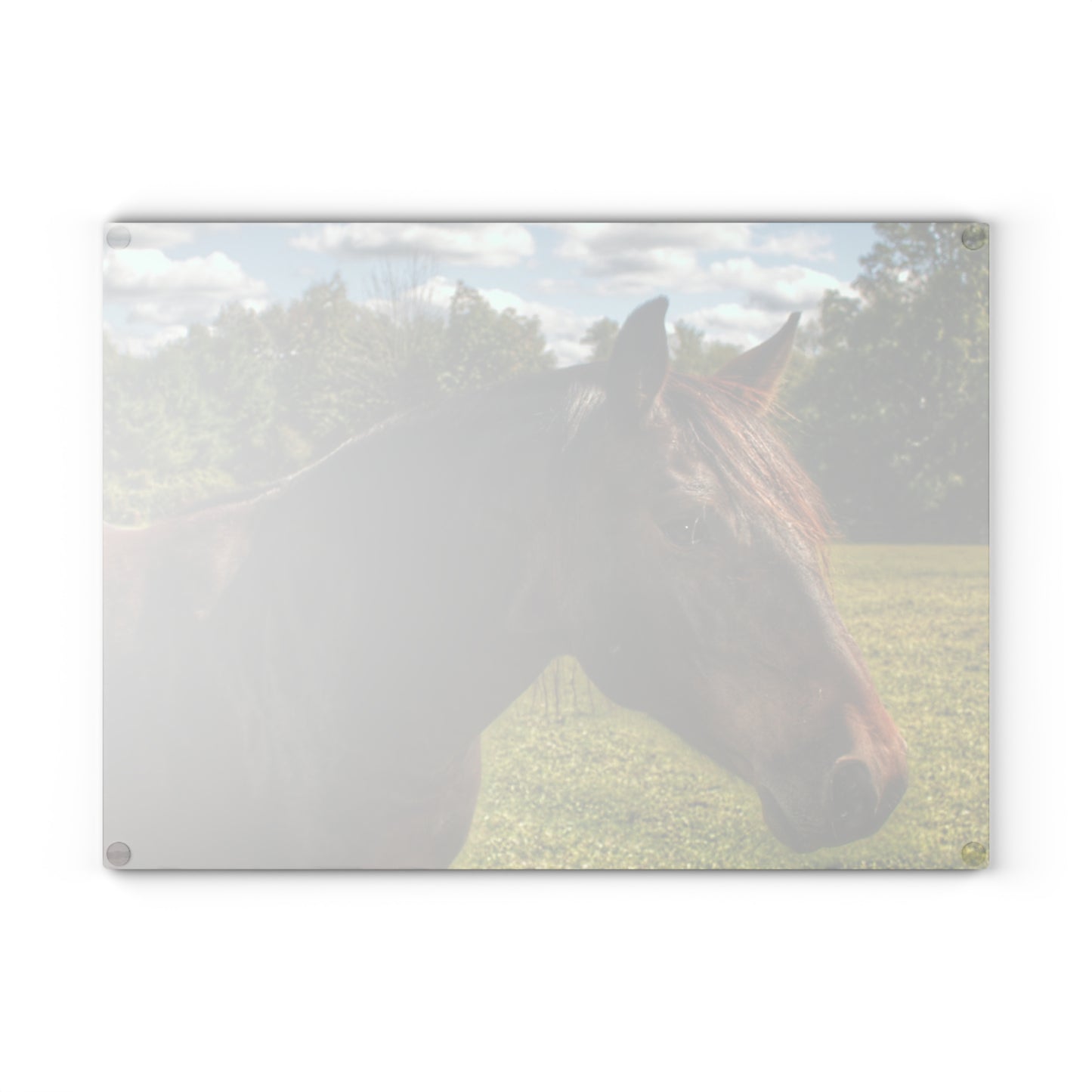 U R There Photography Brown Beauty I Rustic Farmhouse Tempered-Glass Cutting Board