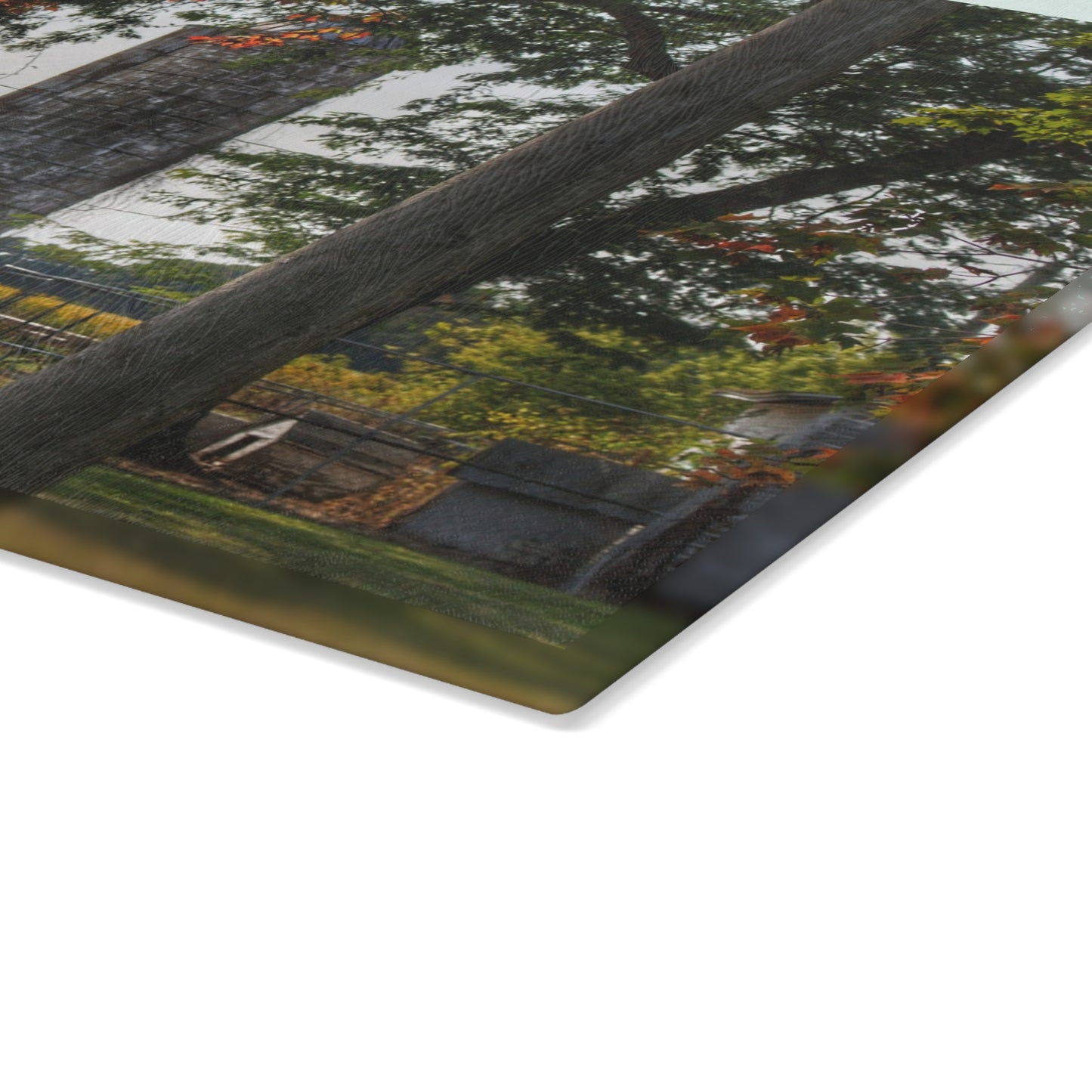 U R There Photography Hidden Grey of Tuscola Rustic Farmhouse Tempered-Glass Cutting Board