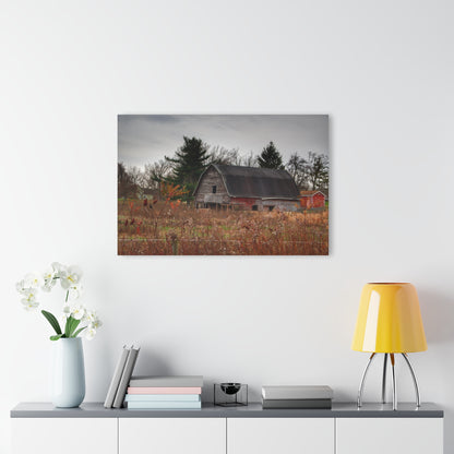 U R There Photography Field Grey and Little Red Rustic Farmhouse Acrylic Wall Print