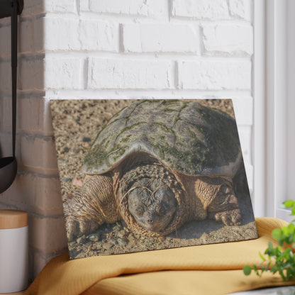 U R There Photography Fargo Road Turtle Rustic Farmhouse Tempered-Glass Cutting Board