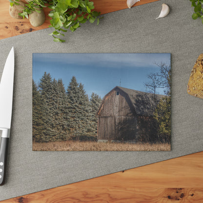 U R There Photography Washburn Old Grey Rustic Farmhouse Tempered-Glass Cutting Board