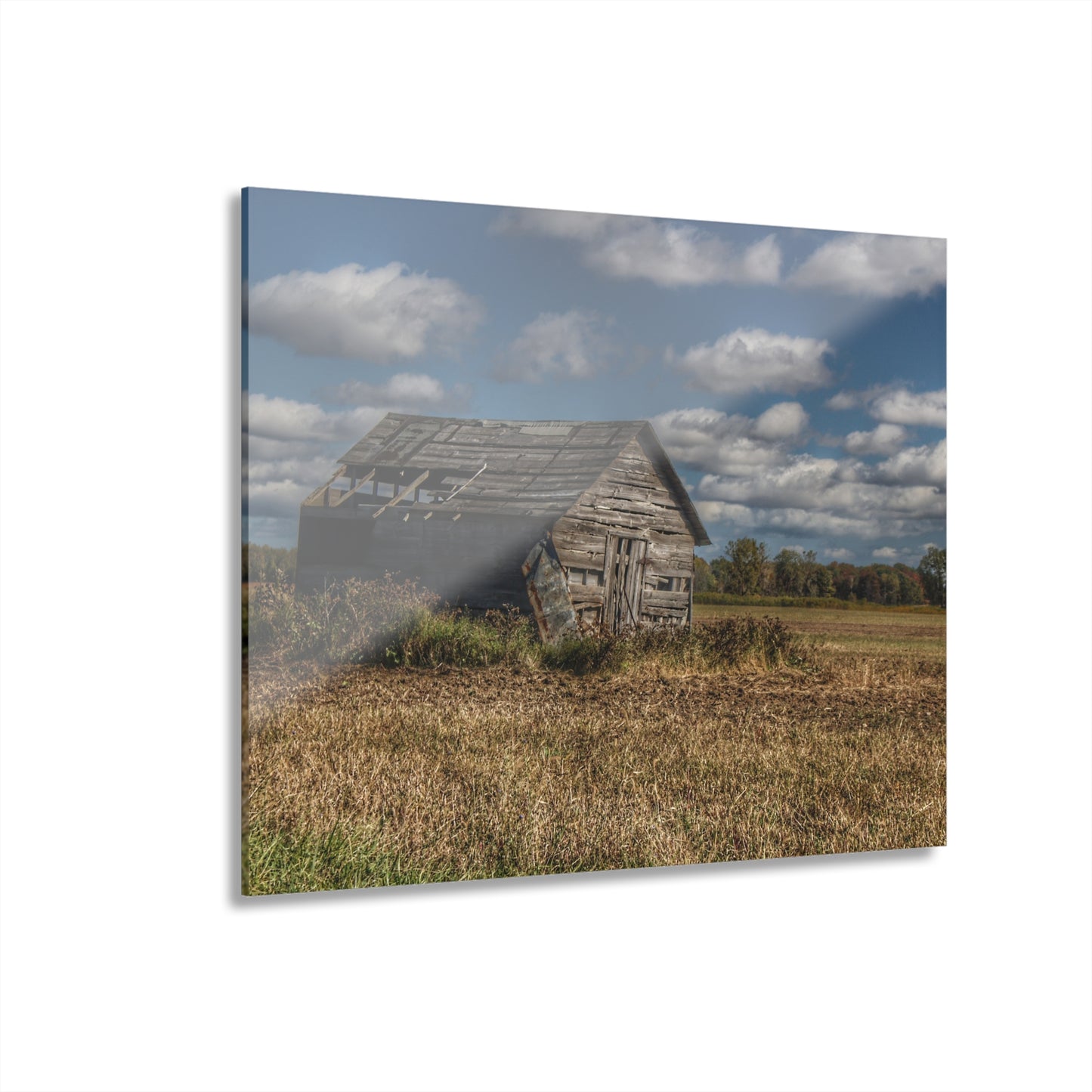 U R There Photography Freiberger Road Little Grey Shack Rustic Farmhouse Acrylic Wall Print
