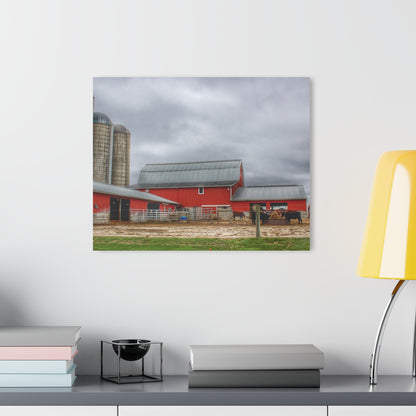 U R There Photography Daley Road Cow Barn Rustic Farmhouse Acrylic Wall Print