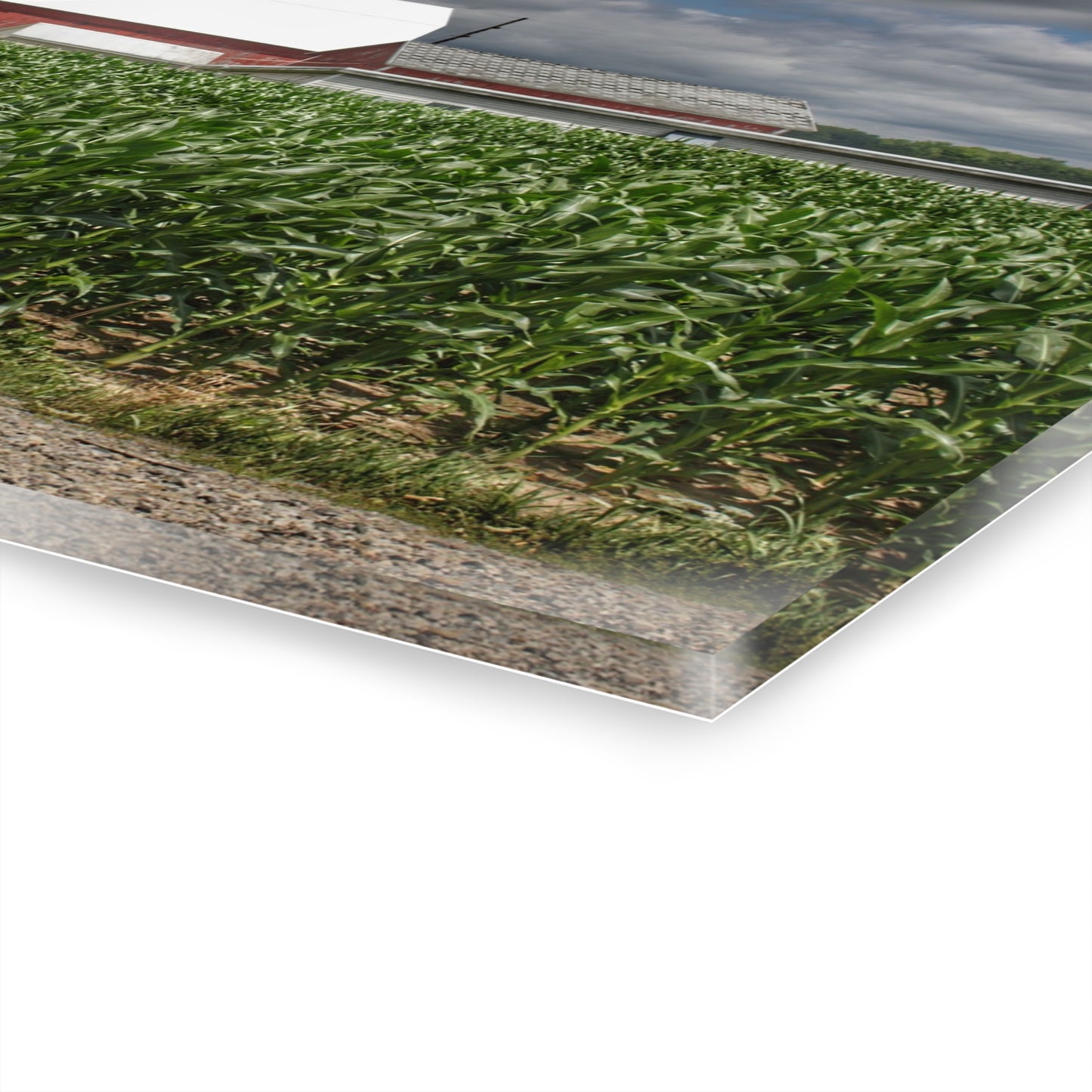 U R There Photography Millington Road Reds Rustic Farmhouse Acrylic Wall Print