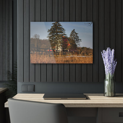 U R There Photography Blood Road Red I Rustic Farmhouse Acrylic Wall Print