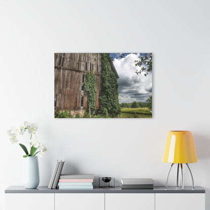 U R There Photography North Branch Ivy Grey II Rustic Farmhouse Acrylic Wall Print