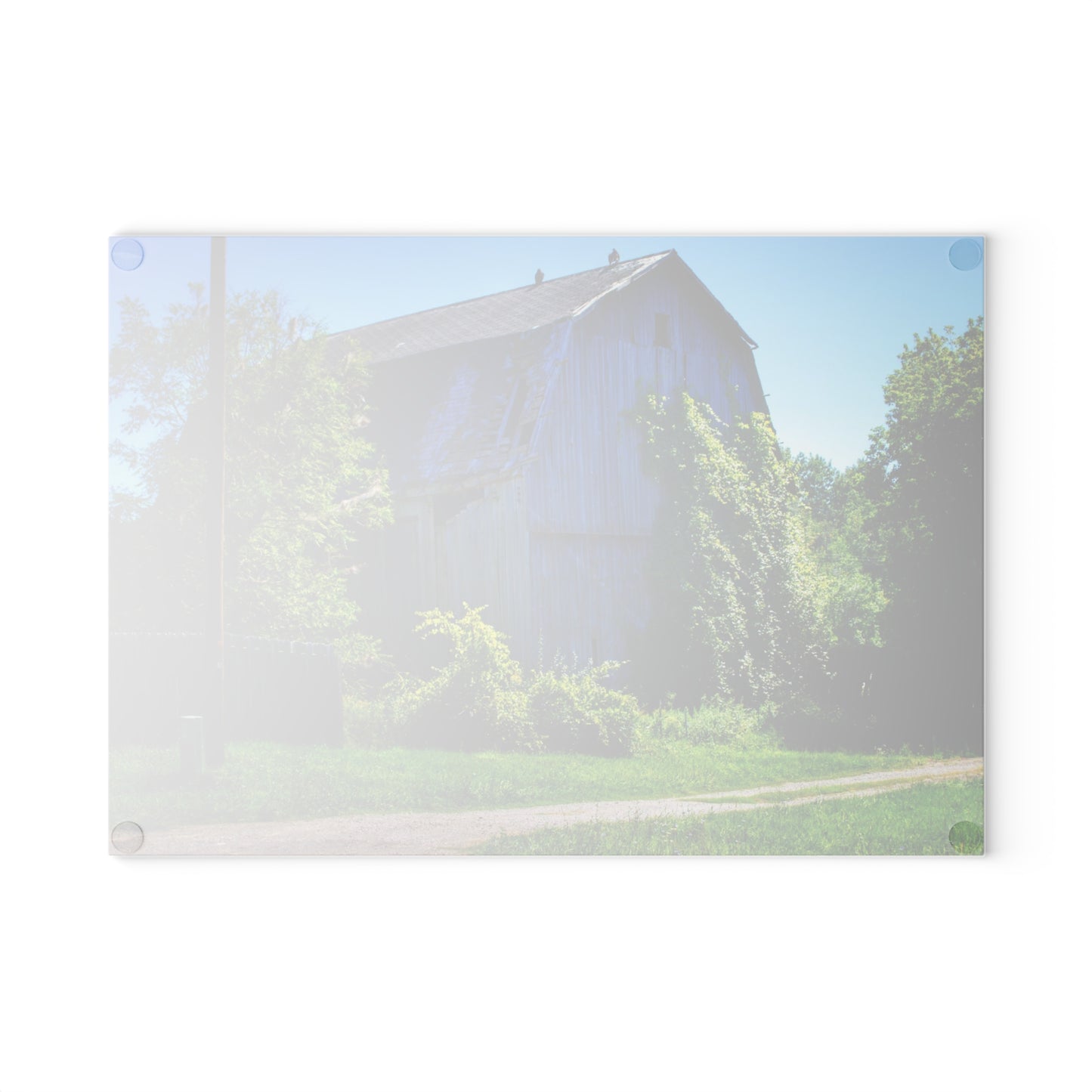 U R There Photography Dryden Road Grey Rustic Farmhouse Tempered-Glass Cutting Board