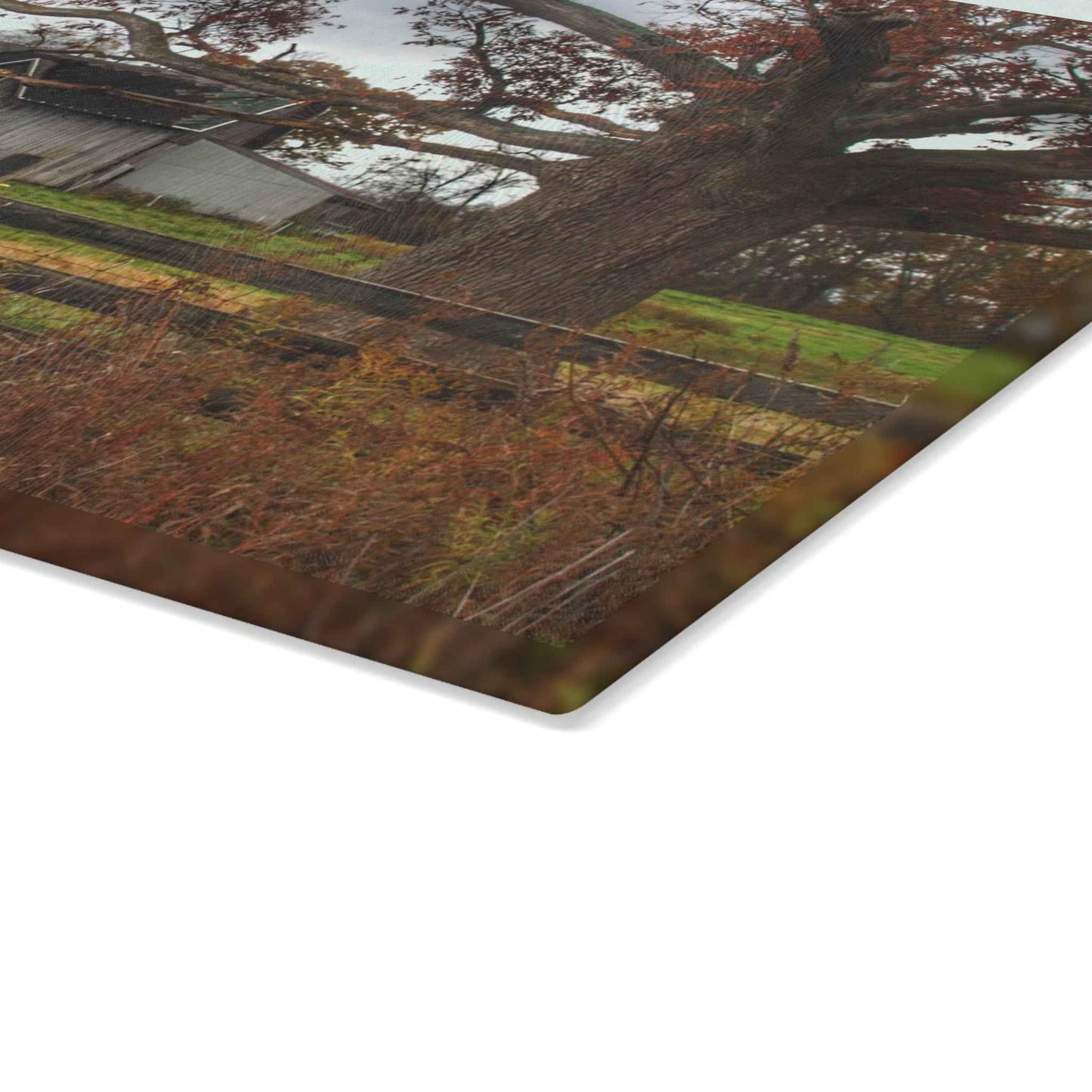 U R There Photography Green Road Grey Beyond the Oak Rustic Farmhouse Tempered-Glass Cutting Board