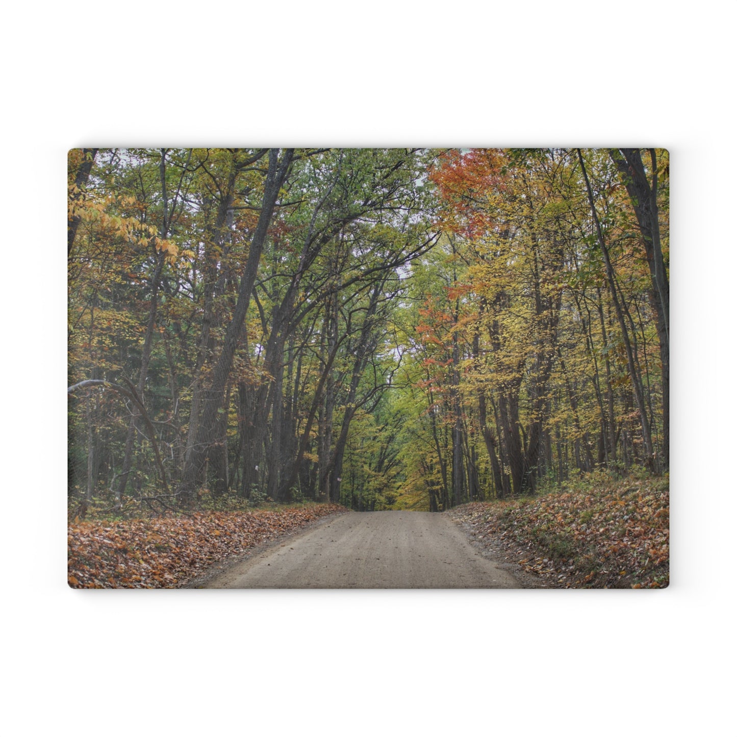 U R There Photography Country Roads in Dryden III Rustic Farmhouse Tempered-Glass Cutting Board